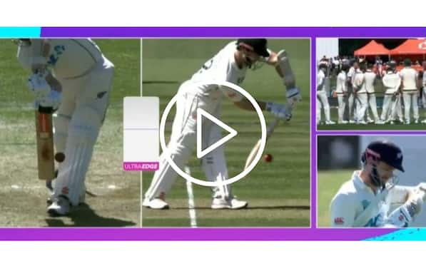 [Watch] Kane Williamson's Landmark 100th Test Ends In Disappointment Courtesy Of Josh Hazlewood